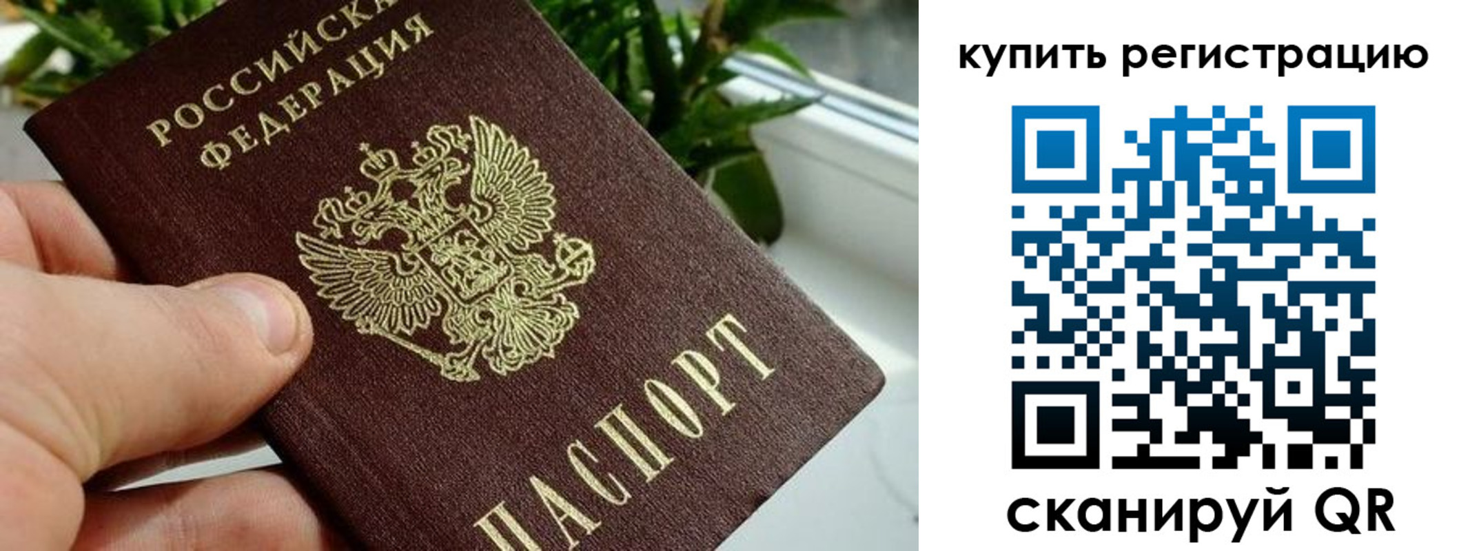 прописка гарантия в Дербенте
